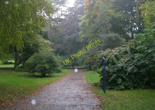 Photo 6"x4" Grounds of Cliffe Castle (on a rainy day!) - Skipton Road Keighley c2008