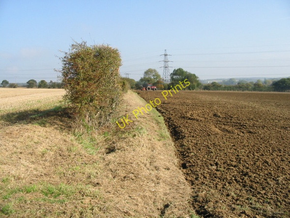 Photo 6"x4" Field boundary, looking NE Broad Oak\/TR1661 c2008