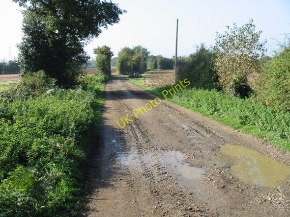 Photo 6"x4" View along bridleway towards Langton Lodge Broad Oak\/TR1661 c2008