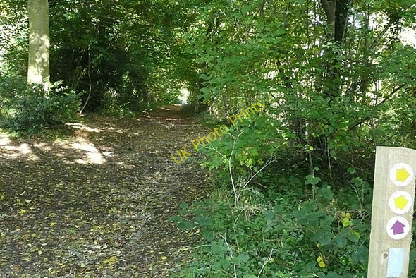 Photo 6"x4" Junction in Itchen Wood Hailey\/SU6485 c2008