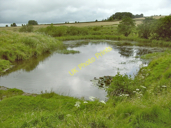 Photo 6"x4" Blackmoor Pond Charterhouse\/ST5055 c2008