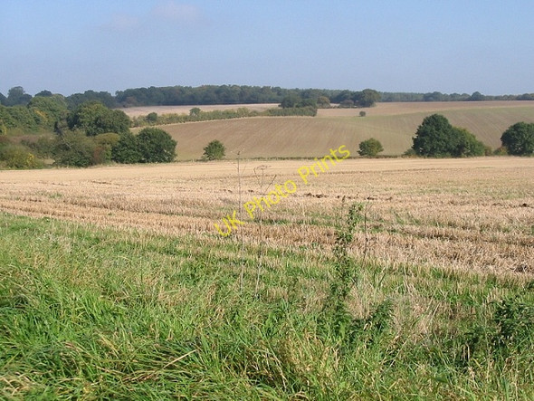 Photo 6"x4" Looking E across farmland towards Calcott Broad Oak\/TR1661 c2008