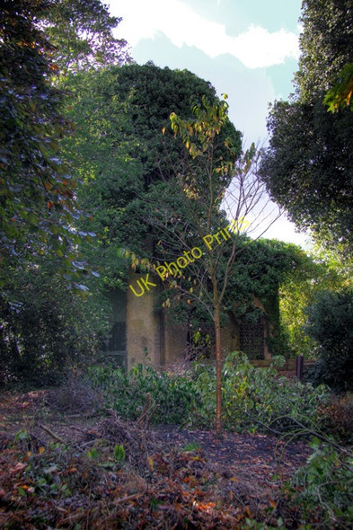 Photo 6"x4" The Water Tower, Avenue House Finchley c2008