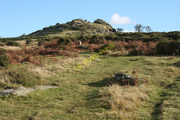 Photo 6"x4" Walkhampton: Ingra Tor from the north Sampford Spiney c2008