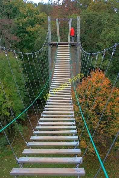 Photo 6"x4" Rope Bridge Camp Hill\/SE3182 c2008