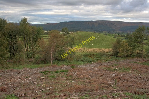 Photo 6"x4" Lawns Hill Ingleby Greenhow c2008