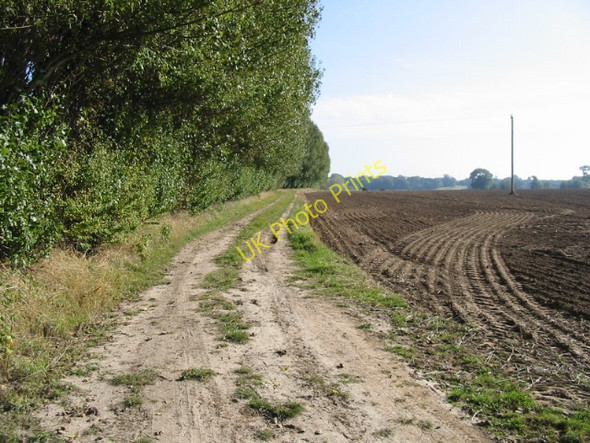 Photo 6"x4" Farm track and field boundary off Grove Road Grove\/TR2361 c2008