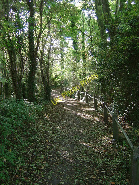 Photo 6"x4" Footpath alongside the Cocker Beck Lowdham c2008