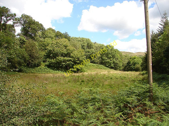 Photo 6"x4" Fallow Land Pandy\/SH9004 c2007
