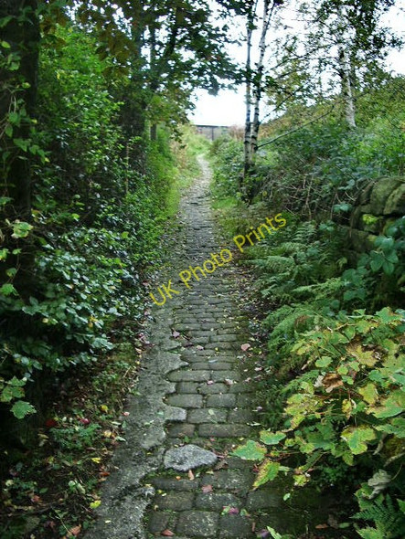 Photo 6"x4" Pennine Bridleway Todmorden c2008