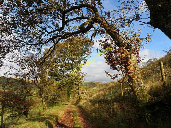 Photo 6"x4" Footpath near Llanfihangel Nant Bran Llanfihangel Nant Bran c2008