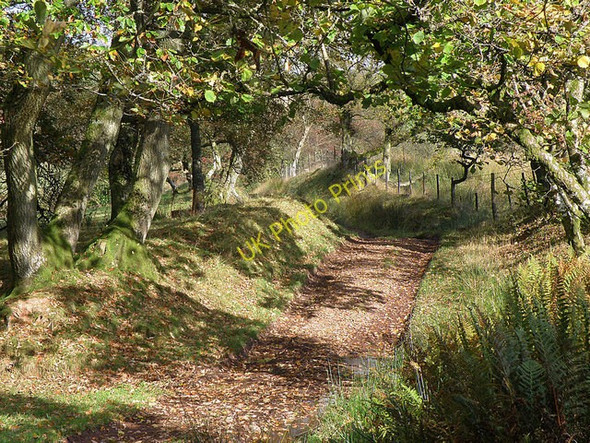 Photo 6"x4" Footpath near Llanfihangel Nant Bran Llanfihangel Nant Bran c2008