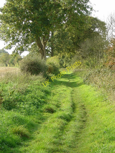 Photo 6"x4" Bridleway near Lowdham Lowdham c2008