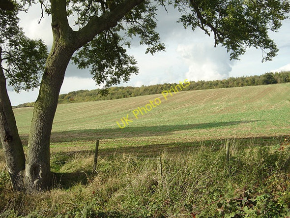 Photo 6"x4" Landscape near Lowdham Lambley\/SK6345 c2008