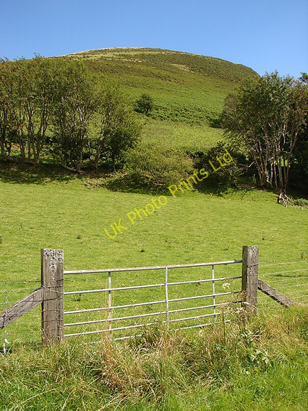 Photo 6"x4" Blaentafalog Farm Blaen-Tafolog c2007
