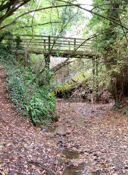 Photo 6"x4" Footbridge across Bottom Dumble Lambley\/SK6345 c2008