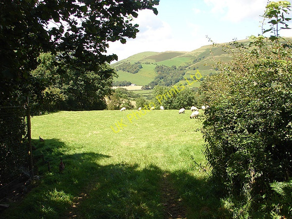 Photo 6"x4" Pasture in Cwm Tafolog Cwm-Cewydd c2007