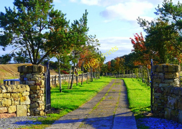 Photo 6"x4" Entrance to Meikle Tarrel Farm Toulvaddie c2008