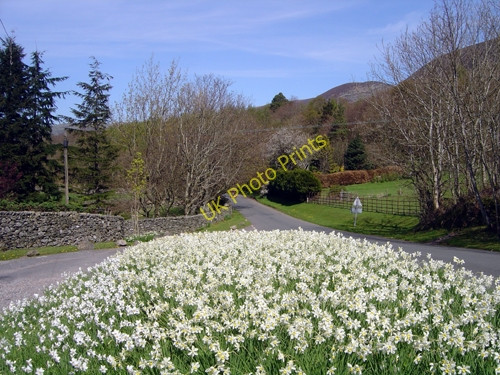Photo 6"x4" Scale Hill Brackenthwaite\/NY1522 c2007