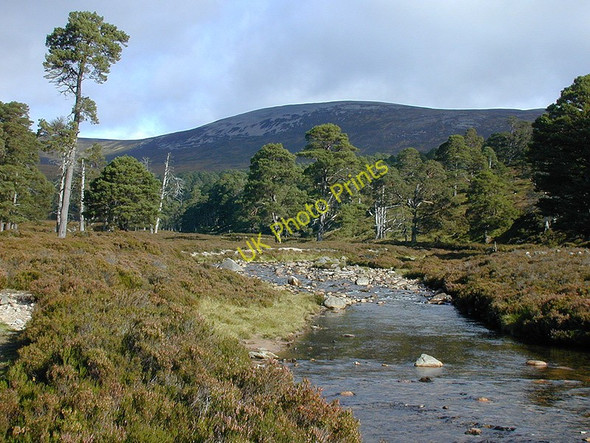 Photo 6"x4" The Derry Burn Creag Bad an t-Seabhaig c2002