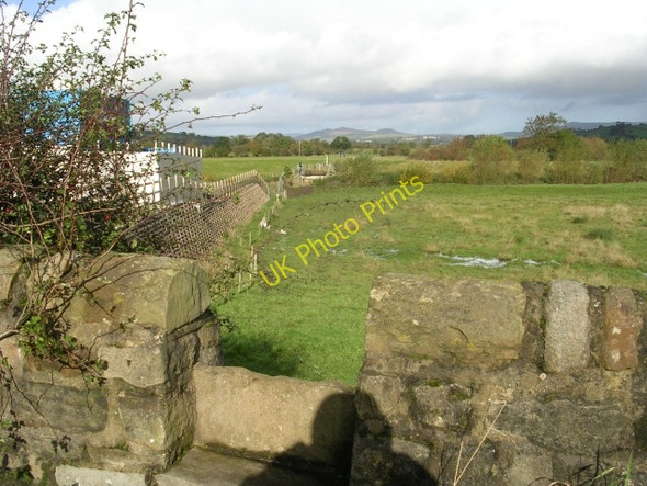 Photo 6"x4" Footpath - Cononley Lane Aire View c2008