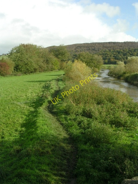 Photo 6"x4" Footpath alongside River Aire - Cononley Lane Aire View c2008