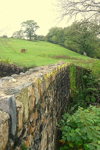 Photo 6"x4" Pont  Rhiw-yr-adar Pentrefelin\/SN5923 c2008