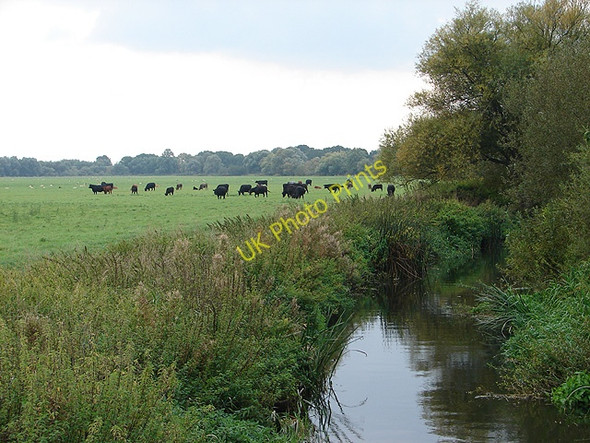 Photo 6"x4" Alconbury Brook Godmanchester c2008