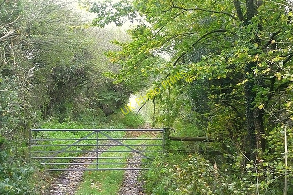 Photo 6"x4" Track near Birdshill Farm Cilsan c2008