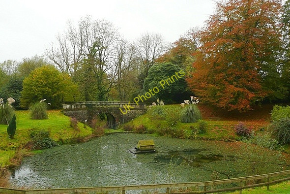 Photo 6"x4" Gardens at Pant Glas Hall Llanfynydd\/SN5527 c2008