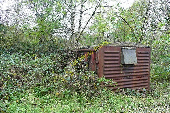 Photo 6"x4" Just by the roadside Capel Issac c2008