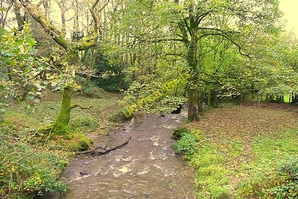 Photo 6"x4" Afon Dulas Capel Issac c2008