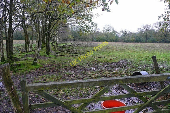 Photo 6"x4" Pasture near Bryn-Ifor Capel Issac c2008