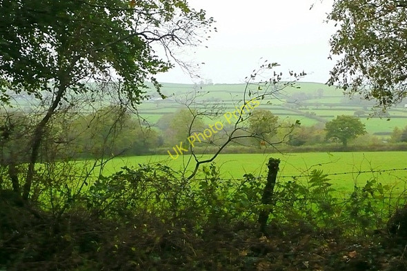 Photo 6"x4" Pasture at Dolwerth Capel Issac c2008