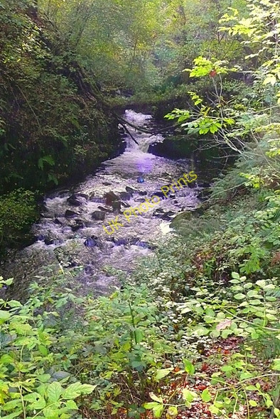 Photo 6"x4" Melin Court Brook Melincourt c2008 P1