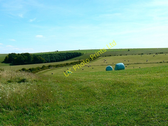 Photo 6"x4" Field with bales of silage, near Little Cheverell Erlestoke c2007