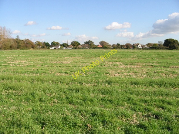 Photo 6"x4" Looking E towards houses on Appledram Lane Chichester c2008