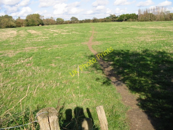 Photo 6"x4" Footpath to Fishbourne Chichester c2008
