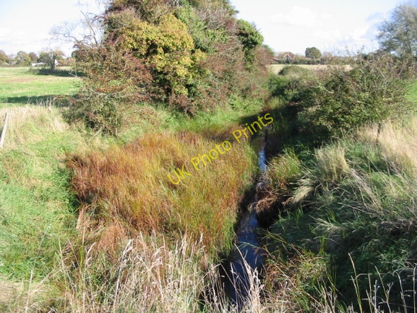 Photo 6"x4" Looking E along a stream or ditch which runs into Fishbourne Channel Chichester c2008