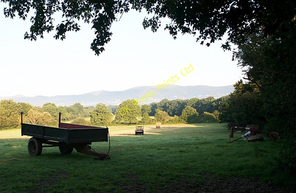 Photo 6"x4" Hay Meadow, Gilvers Lane Gilver's Lane c2007