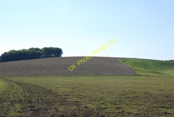 Photo 6"x4" Fields of Field Barn Farm Brixton Deverill c2007