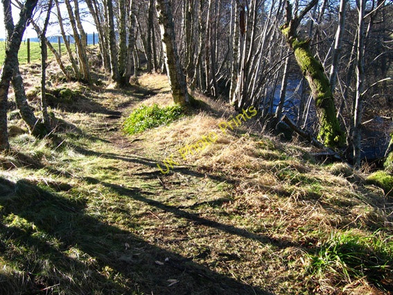 Photo 6"x4" Footpath by the Water of Tanar Millfield\/NO4896 c2008