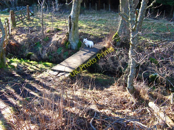 Photo 6"x4" Glen Tanar Millfield\/NO4896 c2008