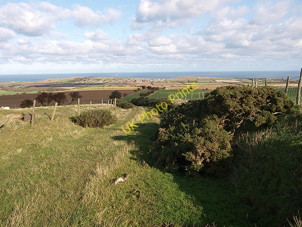 Photo 6"x4" Newton Bank Ellerby c2008