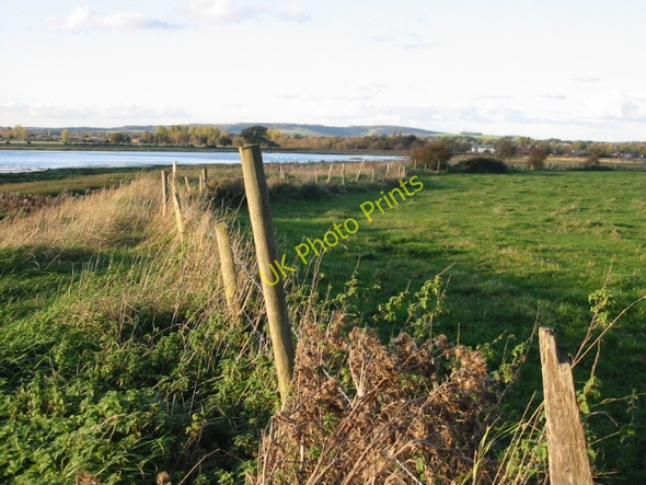Photo 6"x4" Looking N towards Fishbourne Apuldram c2008