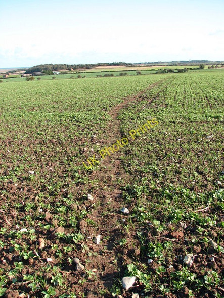 Photo 6"x4" View east along the path Cockthorpe c2008