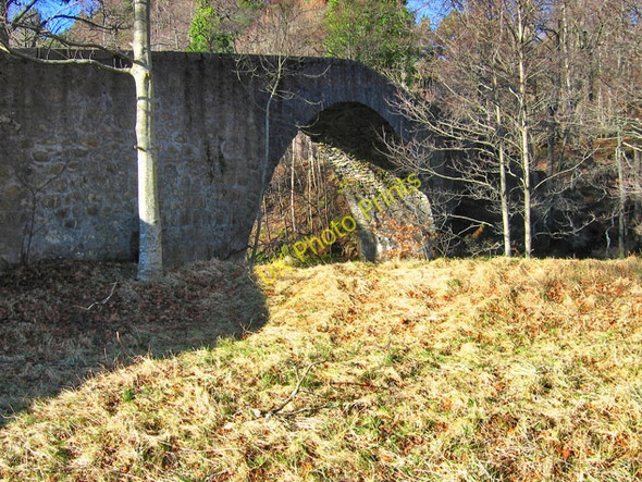Photo 6"x4" Bridge of Tanar at Braeloine Millfield\/NO4896 c2008