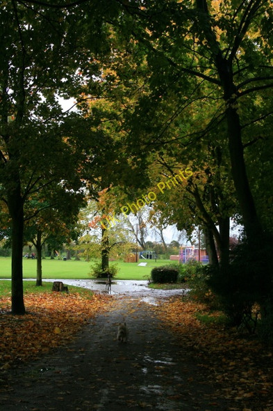 Photo 6"x4" Tree Lined Path Long Eaton c2008