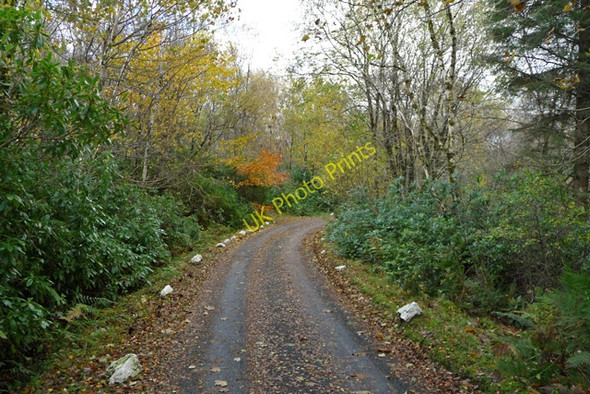 Photo 6"x4" Driveway to Skeabost House Carbost\/NG4248 c2008