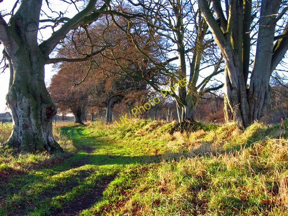 Photo 6"x4" Farm track by the river Dee, Maryculter Peterculter c2007